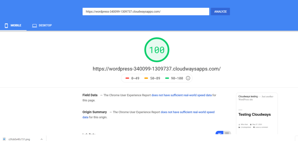 Cloudways PageSpeed ​​Insight -mobiili
