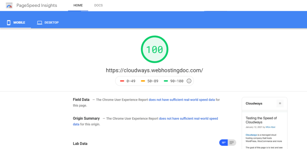 Cloudways PageSpeed Insights