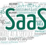 The SaaS platform business model