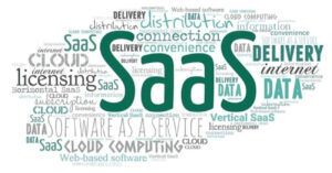 The SaaS platform business model