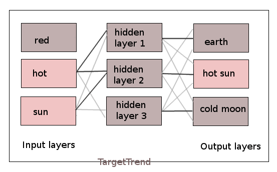 input and output layer Generate AI